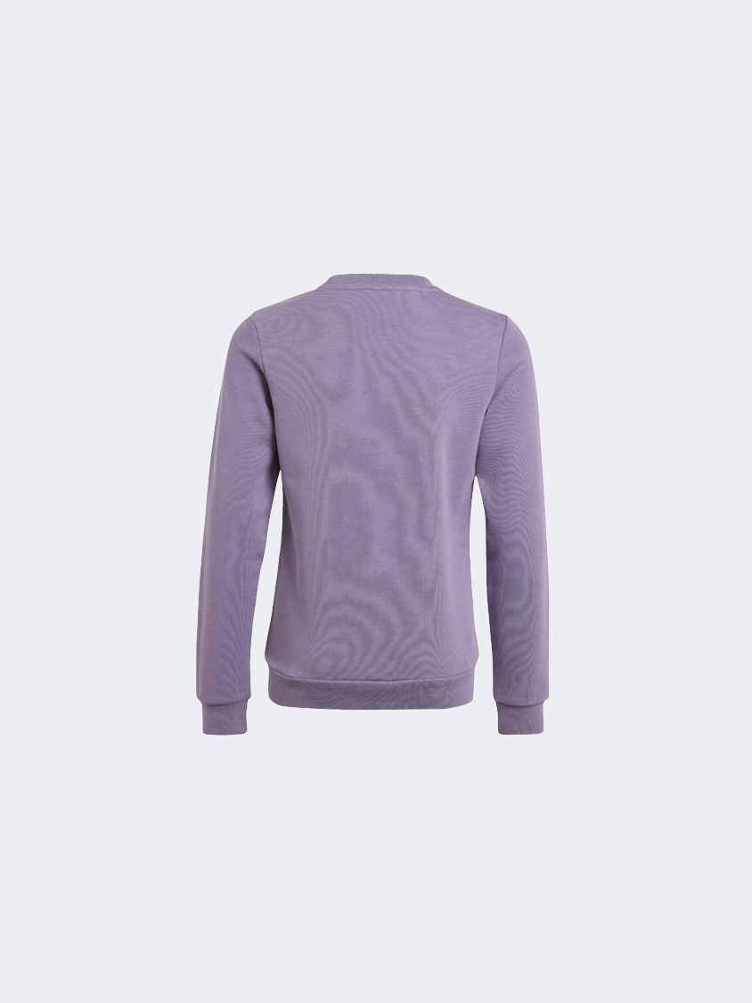 Adidas Essentials Big Logo Kids-Girls Sportswear Sweatshirt Shadow Violet/Pink
