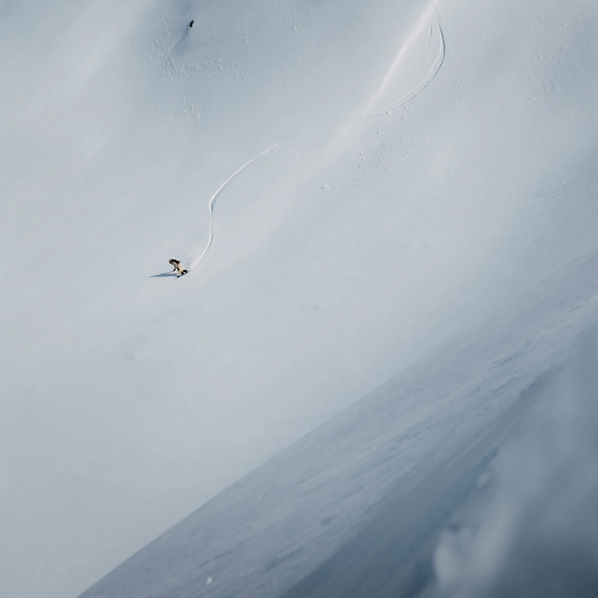 Family Tree Hometown Hero Splitboard