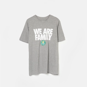 Nike WE ARE FAMILY Shirt (Grey)