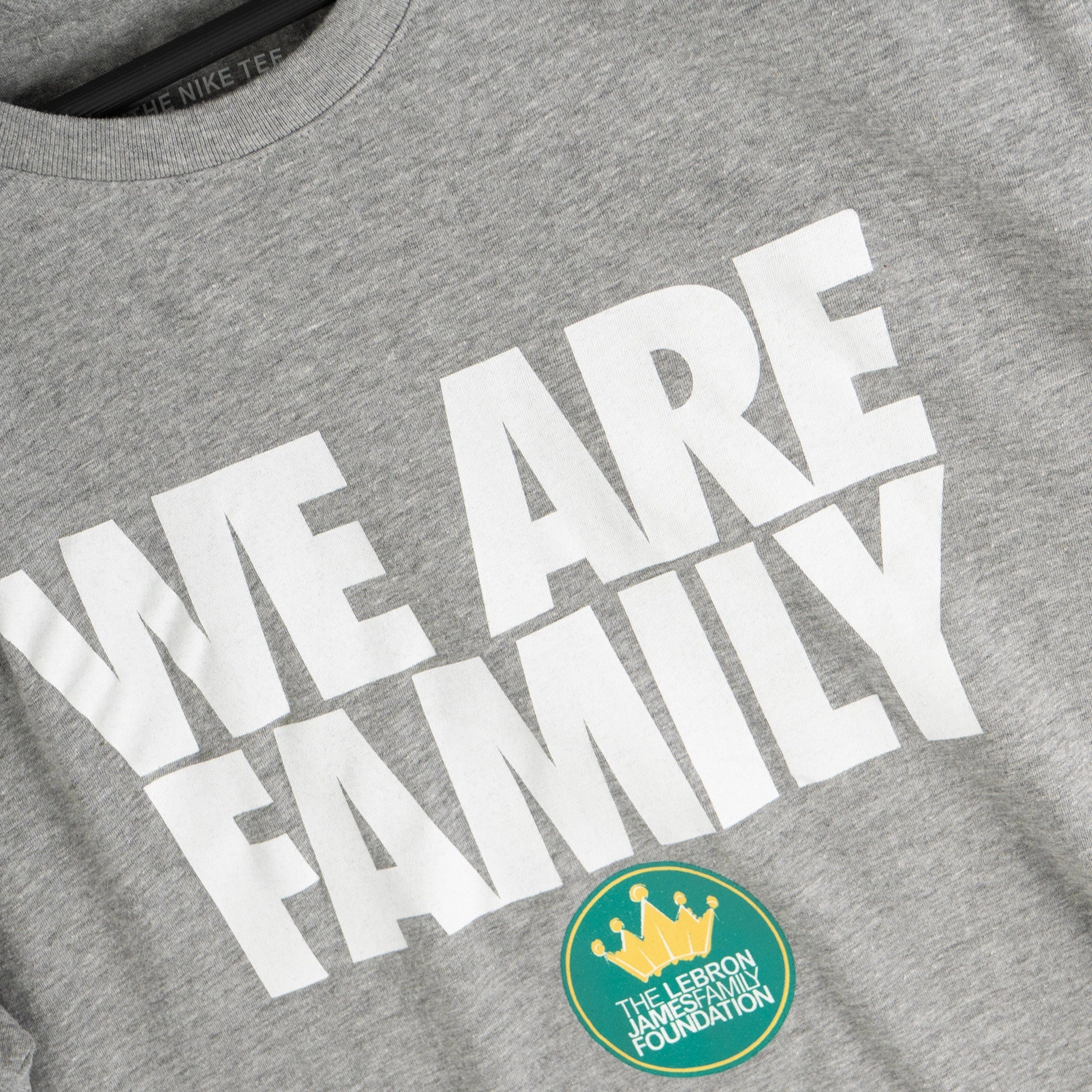 Nike WE ARE FAMILY Shirt (Grey)