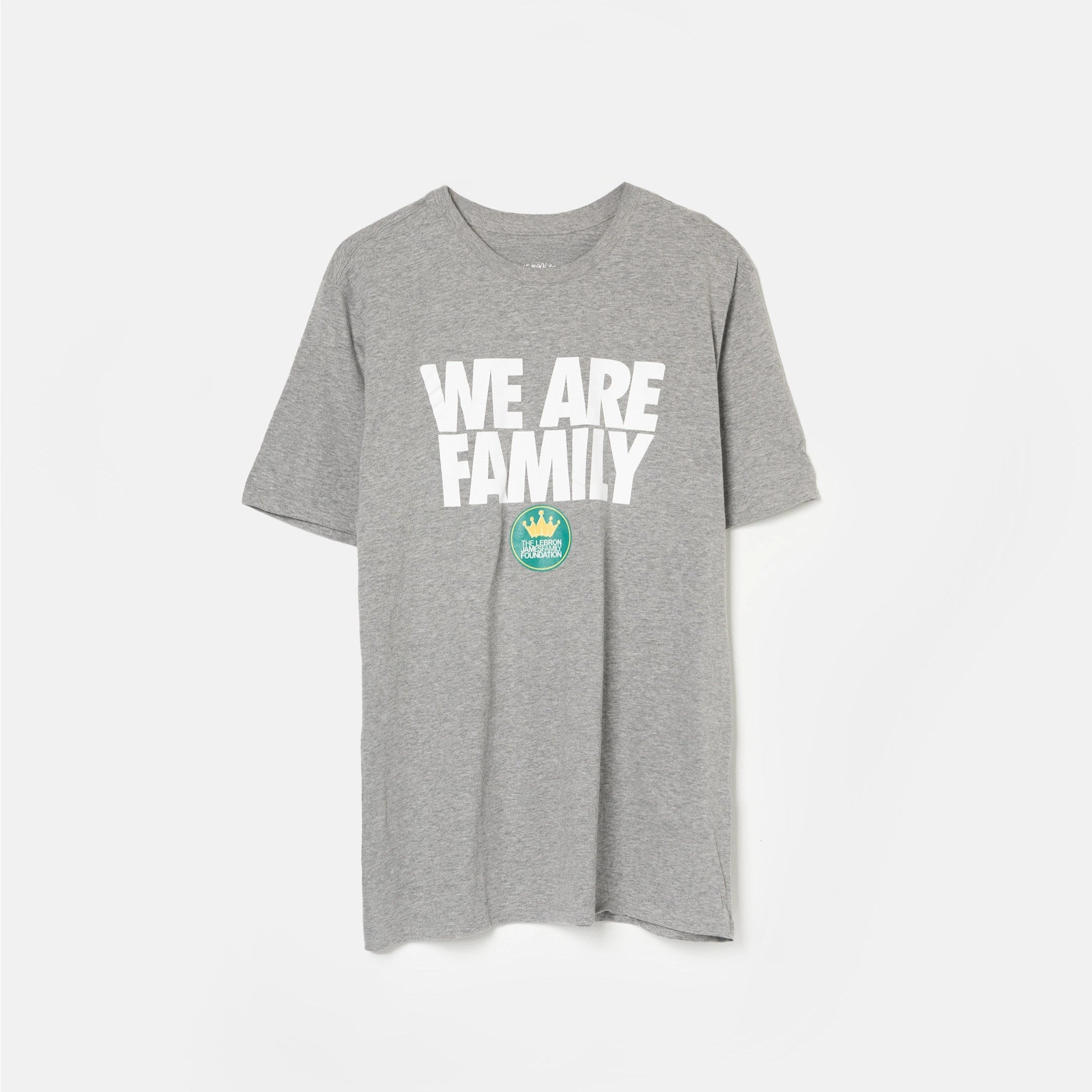 Nike WE ARE FAMILY Shirt (Grey)